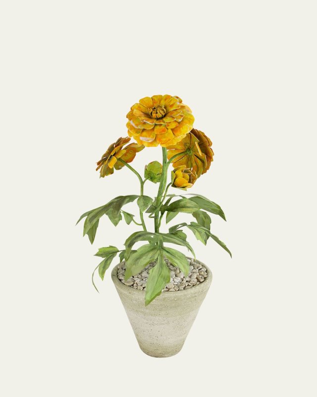 Marigold October Birth Flower in White Terracotta Pot